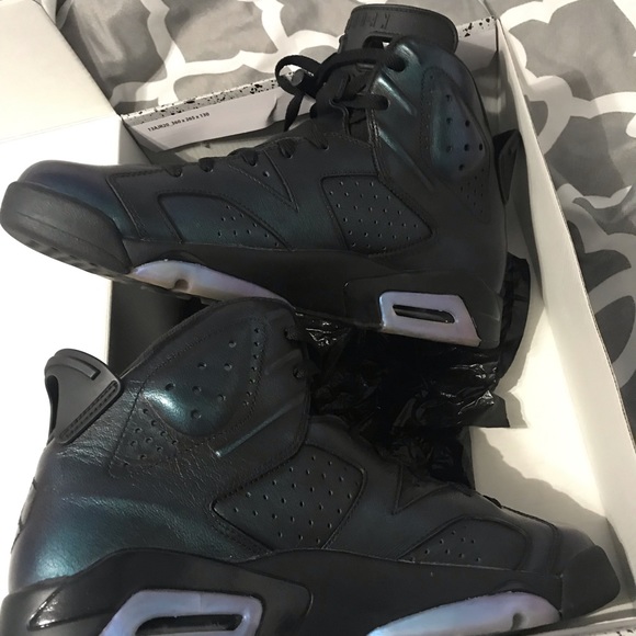 Jordan Retro 6 chameleon